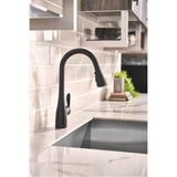 Arbor One-Handle Pulldown Kitchen Faucet Featuring Power Boost and Reflex, Matte Black