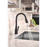 Arbor One-Handle Pulldown Kitchen Faucet Featuring Power Boost and Reflex, Matte Black