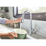 Arbor One-Handle Pulldown Kitchen Faucet Featuring Power Boost and Reflex, Chrome