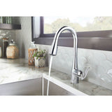Arbor One-Handle Pulldown Kitchen Faucet Featuring Power Boost and Reflex, Chrome