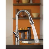 Arbor One-Handle Pulldown Kitchen Faucet Featuring Power Boost and Reflex, Chrome