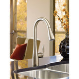 Arbor One-Handle Pulldown Kitchen Faucet Featuring Power Boost and Reflex, Matte Black