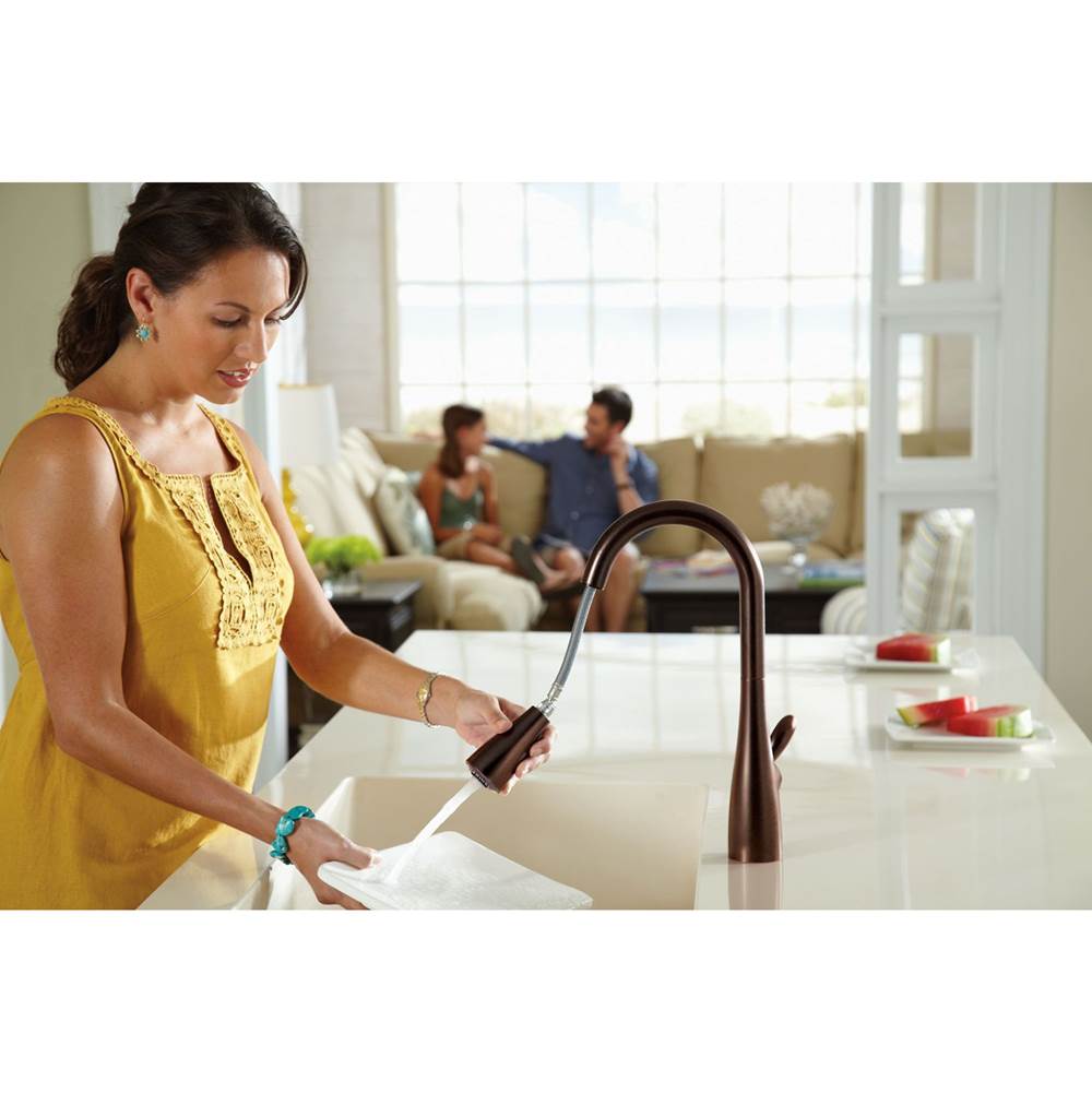 Arbor One-Handle Pulldown Kitchen Faucet Featuring Power Boost and Reflex, Matte Black