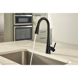 Sleek One-Handle High Arc Pulldown Kitchen Faucet Featuring Power Boost, Chrome