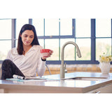 Genta LX Single-Handle Pull-Down Sprayer Modern Kitchen Faucet with Reflex and Power Boost Chrome