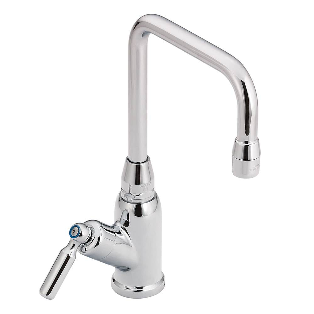Chrome commerical spout