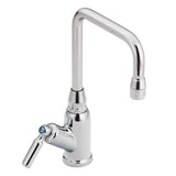 Chrome commerical spout