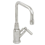 Chrome commerical spout