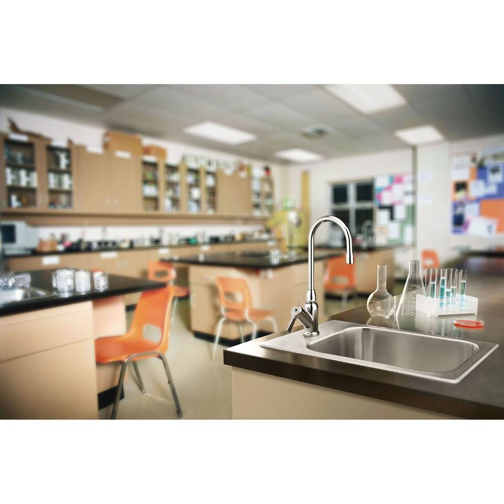 Chrome one-handle laboratory faucet