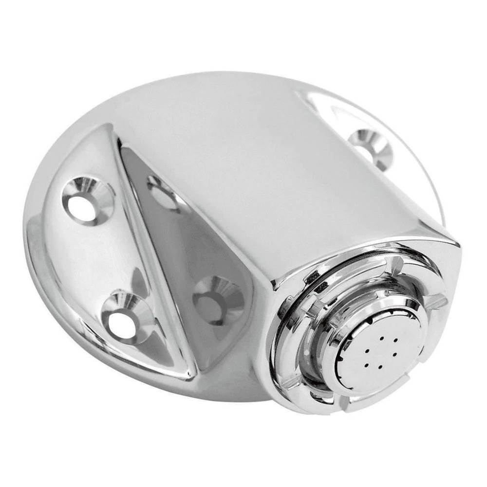 Chrome showerhead