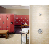 Chrome showerhead