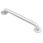 Moen - Stainless 32'' Concealed Screw Grab Bar - Stainless