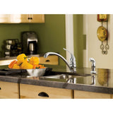 Torrance Chrome Single-Handle Lever Kitchen Faucet with Side Spray