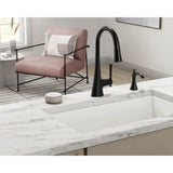 Transitional Deck Mounted Kitchen Soap Dispenser with Above the Sink Refillable Bottle, Brushed Gold