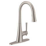 KURV Single-Handle Pull-Down Sprayer Kitchen Faucet with Reflex and Power Boost in Chrome