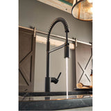 Align One Handle Pre-Rinse Spring Pulldown Kitchen Faucet with Power Boost, Chrome