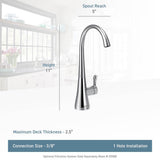 Sip Transitional Cold Water Kitchen Beverage Faucet with Optional Filtration System, Chrome