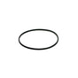Moen - O Ring (large) for flush valve sea - Unfinished