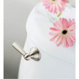 Brushed Nickel Tank Lever
