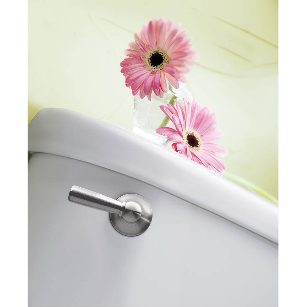 Brushed Nickel Tank Lever