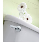 Brushed Nickel Tank Lever