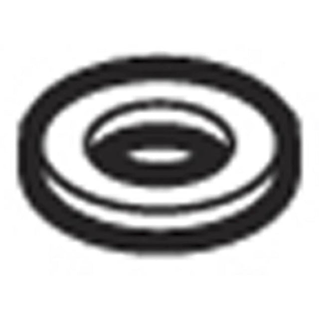 Moen - Nylon washer for filter housing - Unfinished