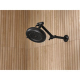 Moed Adjustable Shower Arm in Chrome