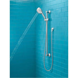 Twist Handheld Shower with Slide Bar, Chrome