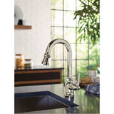 Paterson One-Handle Pulldown Bar Faucet with Power Clean, Includes Interchangeable Handle, Chrome