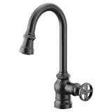 Paterson One-Handle Pulldown Bar Faucet with Power Clean, Includes Interchangeable Handle, Chrome