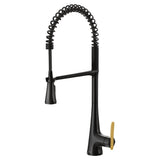 Sinema Single-Handle Pull-Down Sprayer Kitchen Faucet with Power Clean and Spring Spout in Chrome