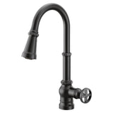 Paterson One-Handle Pull-down Kitchen Faucet with Power Boost, Includes Interchangeable Handle, Chrome