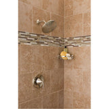 Brushed Nickel Shower Basket
