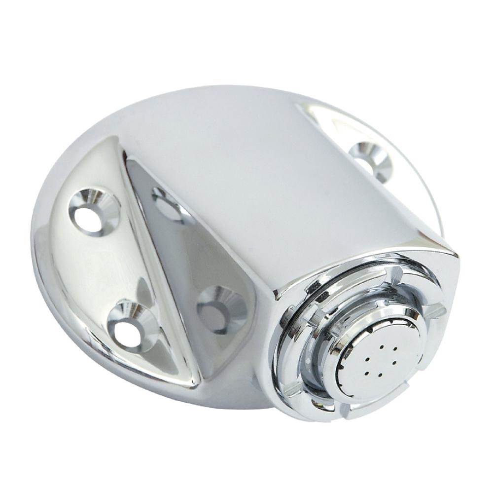 Moen - Chrome showerhead - Chrome