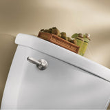 Brushed Nickel Tank Lever