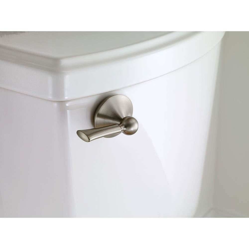 Brushed Nickel Tank Lever
