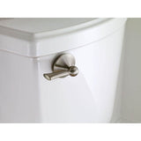 Brushed Nickel Tank Lever