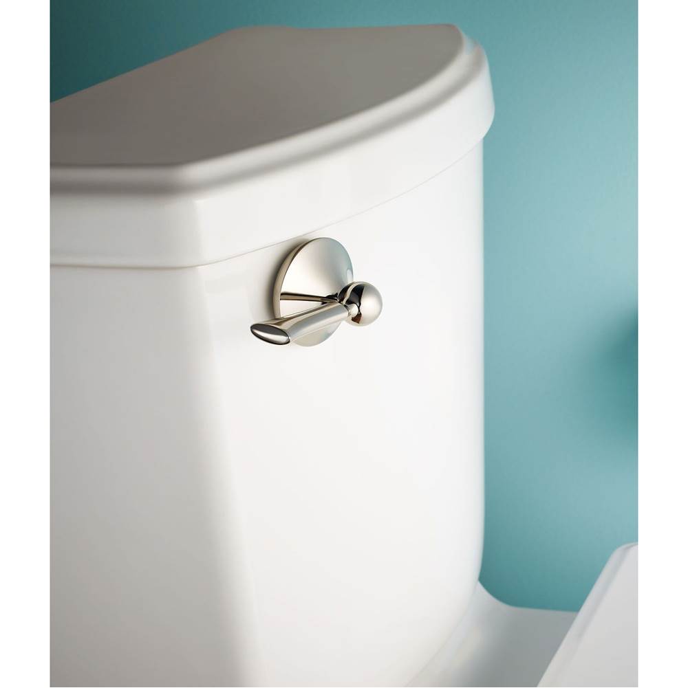 Brushed Nickel Tank Lever
