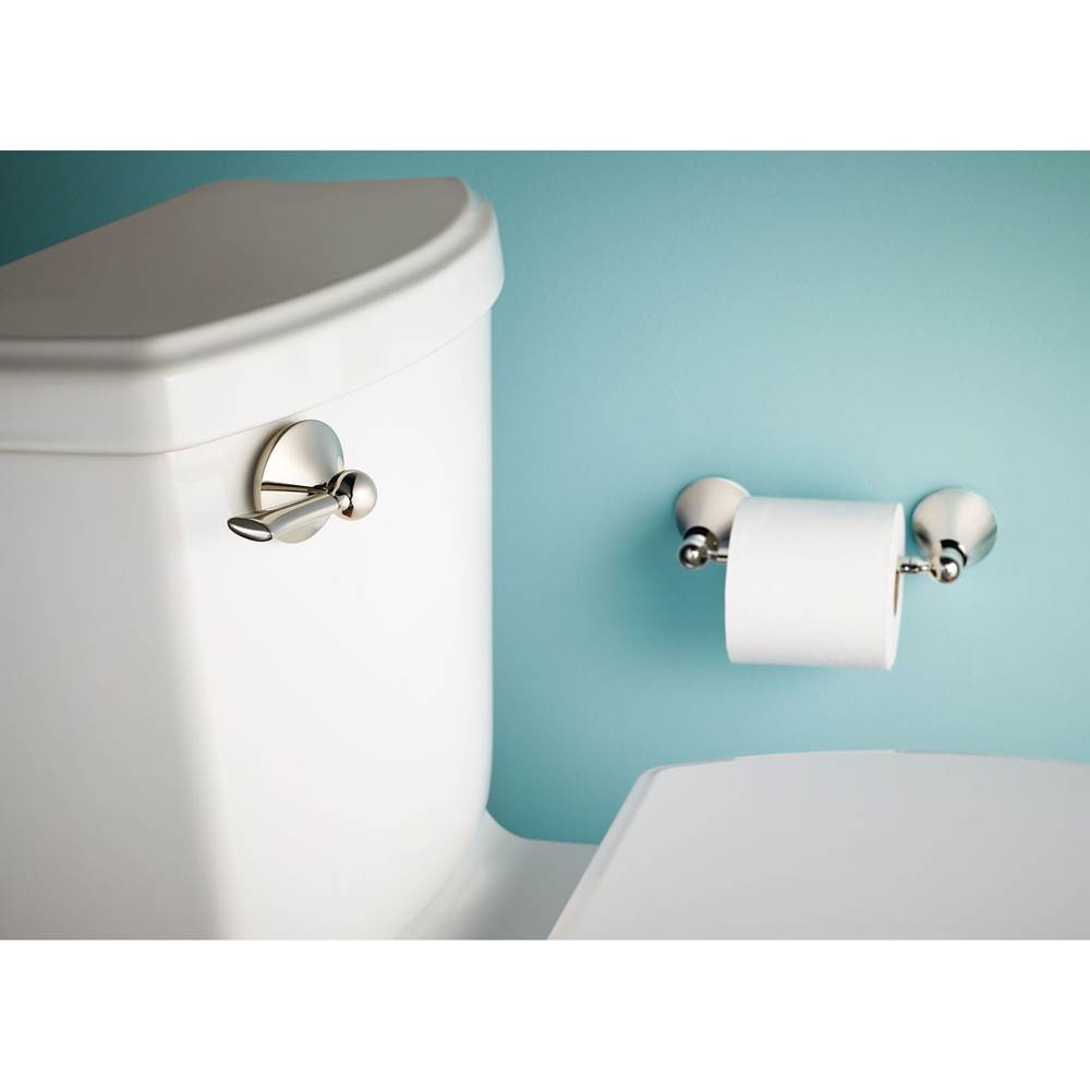 Brushed Nickel Tank Lever