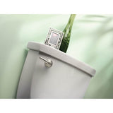 Brushed Nickel Tank Lever