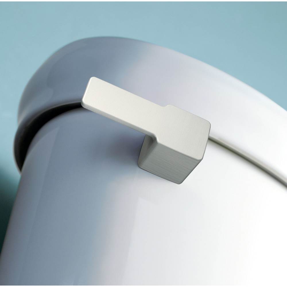 Brushed Nickel Tank Lever
