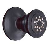 Moen - Body Spray for M-PACT System, Wrought Iron - Wrought Iron