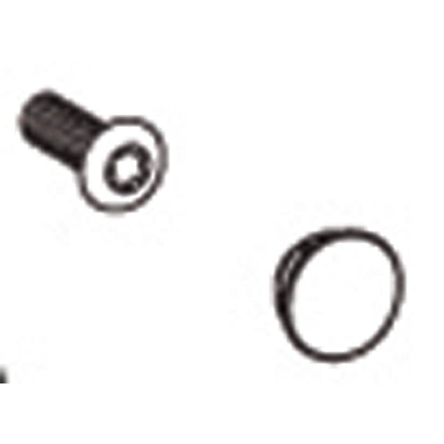 Moen - Handle Screw Kit, Sani-Stream 3 Function Transfer Valve - Chrome