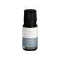 Mr. Steam - Mint Essential Aroma Oil in 10 mL Bottle