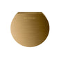 Mr. Steam - Aroma Designer 3 in. W. Steamhead with AromaTherapy Reservoir in Round Brushed Bronze - Brushed Bronze