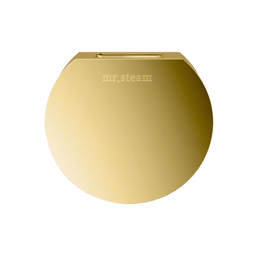 Mr. Steam - Aroma Designer 3 in. W. Steamhead with AromaTherapy Reservoir in Round Polished Brass - Polished Brass