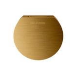 Mr. Steam - Aroma Designer 3 in. W. Steamhead with AromaTherapy Reservoir in Round Custom Plated/Unfinished - Custom Plated/Unfinished