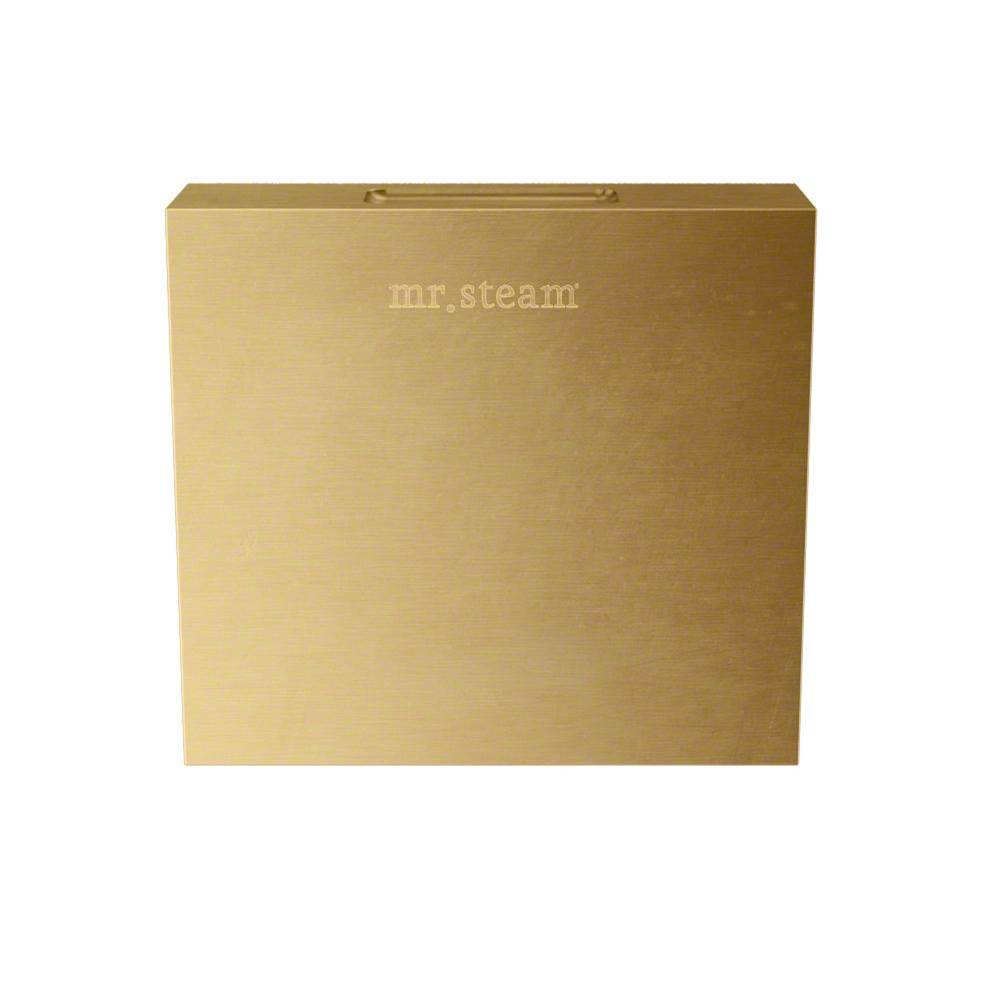 Mr. Steam - Aroma Designer 3 in. W. Steamhead with AromaTherapy Reservoir in Square Satin Brass - Satin Brass