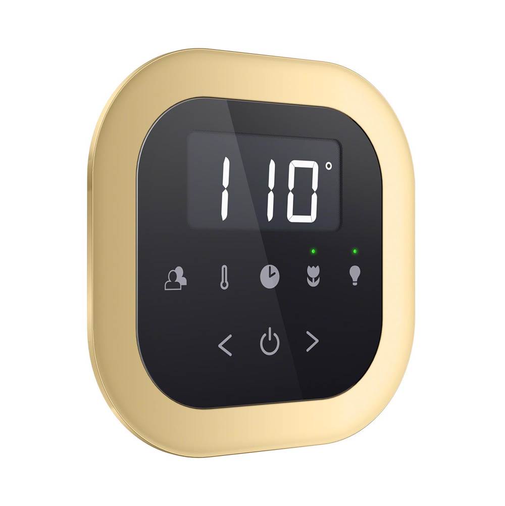 Mr. Steam - AirTempo , FLUSH MNT KIT RD RAW - Polished Brass