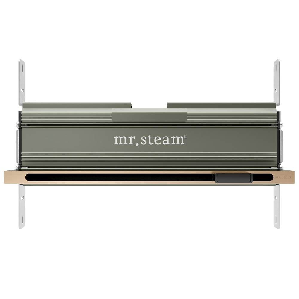 Mr. Steam - Linear 16 in. W. Steamhead with AromaTherapy Reservoir in Brushed Bronze - Brushed Bronze